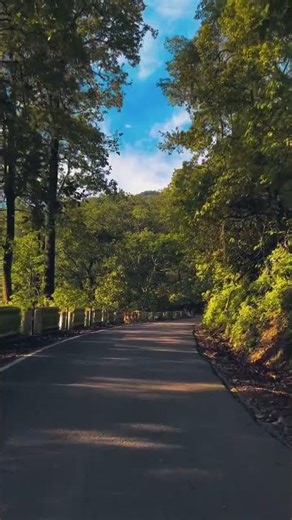 nature vibes 🍃 Beautiful view