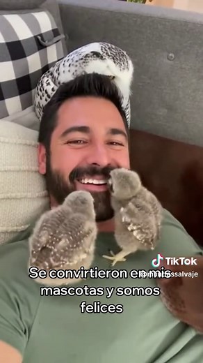 La Sorprendente Visita de un Búho