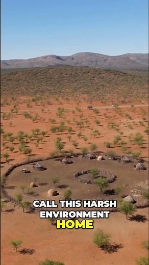 Explore the Australian Outback A Wild Adventure Awaits