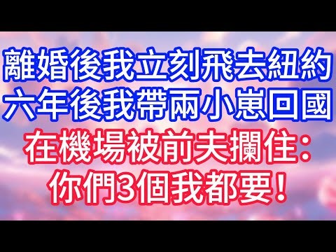 【情感故事】離婚後我立刻飛去紐約，六年後我帶兩小崽回國，在機場被前夫攔住：你們3個我都要！#故事 #人生哲理