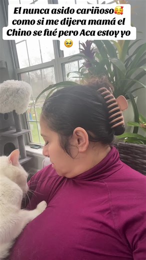 #MiBisquet😍#fypage#paratii | My Dog Is So Cute