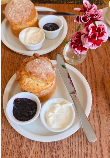 daily vlog 🌸☁️☕️ Une touche de rose, un cardigan tout doux, une promenade à observer les premières floraisons, un détour par le musée d’histoire naturelle, un cappuccino et scones pour se réchauffer, un peu de journaling et retrouver l’appartement baigné de lumière. Le printemps se fait désirer cette année mais cela nous permettra de l’apprécier d’autant plus 🫶🏼 #dailyvlog #frenchvlog #adaywithme