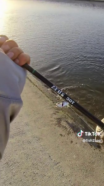 California Aqueduct Striper Bass Fishing Success