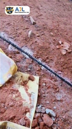🐜 AJL Termite Control Services – Protect Your Property from Termites!