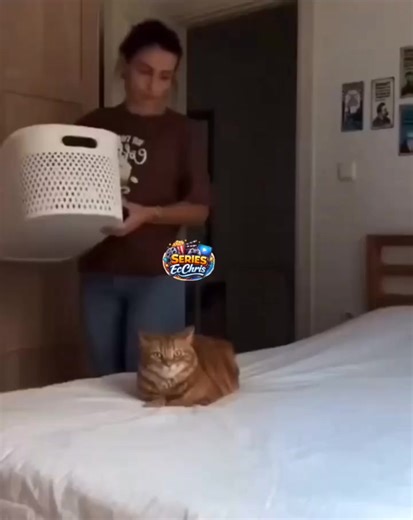 #LIVEIncentiveProgram #ZeroToHero #PaidPartnership