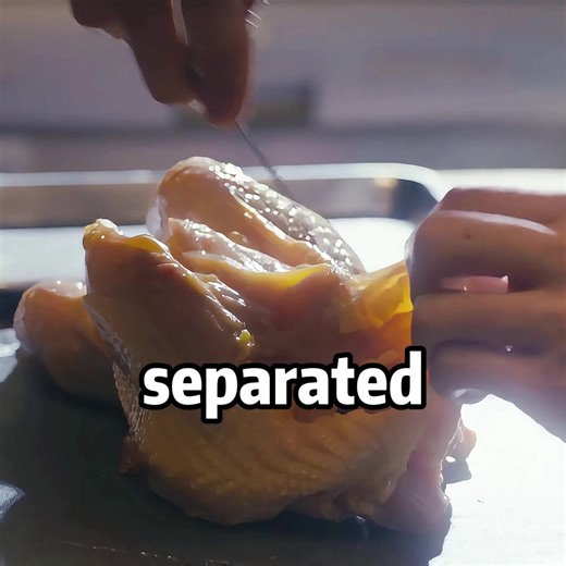 Culinary Challenge: Learning Precision in Seasoning