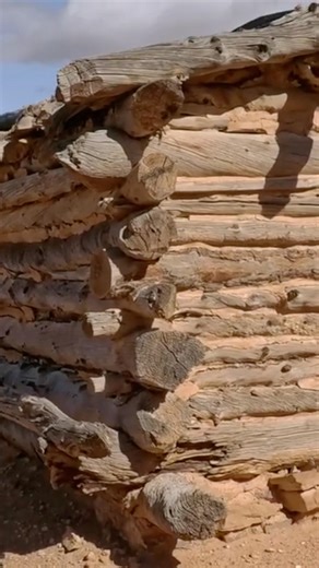 Found a cool little cabin on my long drive home!