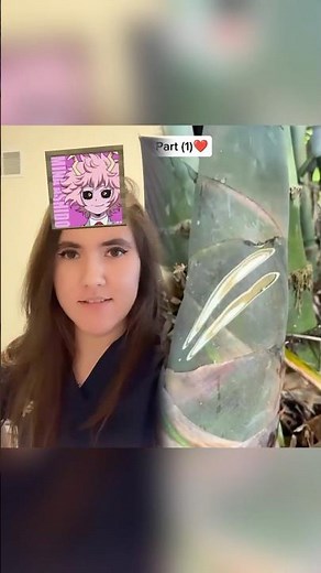 Idk have some MHA filter randomness 😂😂😂 #mha #bnha #mhafilter #mhacharacters #bokunoheroacademia