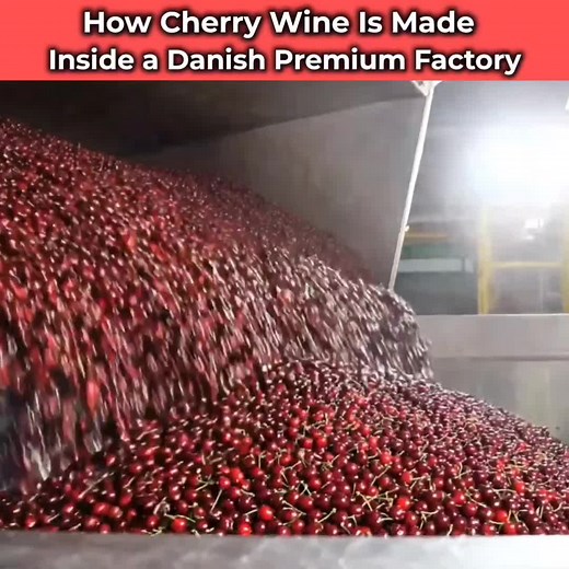 Inside a Premium Cherry Wine Factory in Denmark (Full Process) #CherryWine #WineryProcess #foodproduction