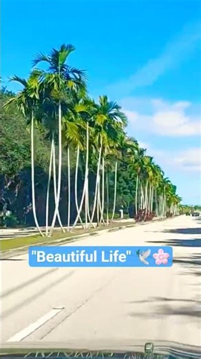 "Beautiful Life" 🕊🌸Pat Barrett 🌟 Christian Content - See related Post.
