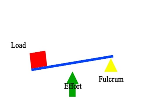 3rd Class Lever.avi on Make a GIF