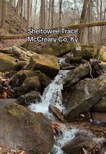 Never seen so many waterfalls on a trail but nothing more peaceful, a connecting trail to the sheltowee trail alongside the river #sheltoweetrace #mccrearycounty #kentucky #waterfalls #hikingadventures