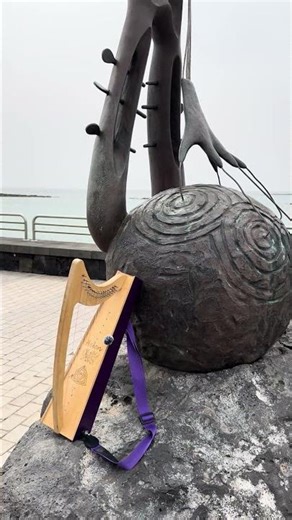 When the wind becomes the harpist. 🌬️🎶