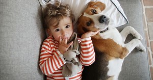 Here's why parents who turn a blind eye to children mistreating pets are the real culprits