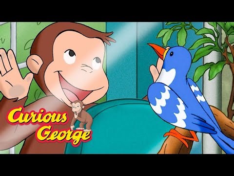 An Endangered Animal? 🐵 Curious George 🐵 Kids Cartoon 🐵 Kids Movies