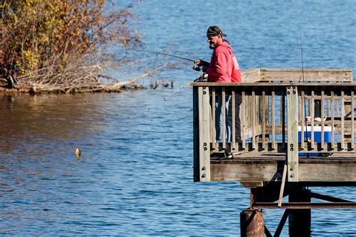Bass anglers rejoice! A new species of Bass has been found in the United States