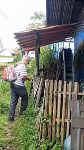 33K views · 2.8K reactions | Tradisional Rice Milling... 퐓퐀퐆 퐊퐀퐖퐀퐍...