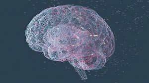 'Secret code' behind key type of memory revealed in new brain scans