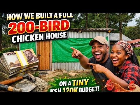 How We Built a Full 200-Bird Chicken House on a Tiny KSh 120K Budget!
