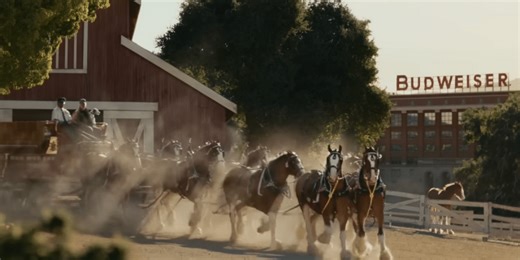 Budweiser Clydesdales’ “First Delivery” Super Bowl Commercial Voted Best Of 2025