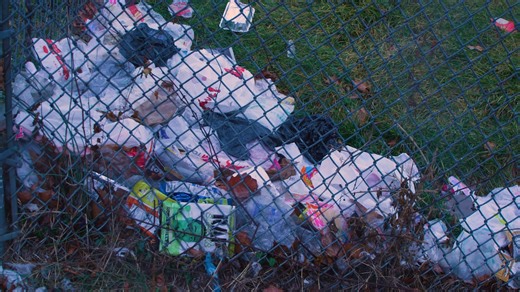 The #BreakFreeFromPlastic Pollution Act is being reintroduced today in Congress. 397 U.S organizations have endorsed Senator Jeff Merkley and Representative Alan Lowenthal's #BreakFreeFromPlastic Pollution Act as the most important set of policy solutions needed to tackle the plastic pollution crisis. Tell your representatives to support the bill today! 👉 https://action.storyofstuff.org/letter/BFFPPA-Cosponsor-Drive/ | The Story of Stuff Project