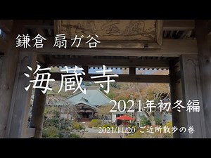 【北鎌倉日和】ご近所散歩の巻 初冬の扇ガ谷 海蔵寺 〜 codaca's bagels ~ 魚浦