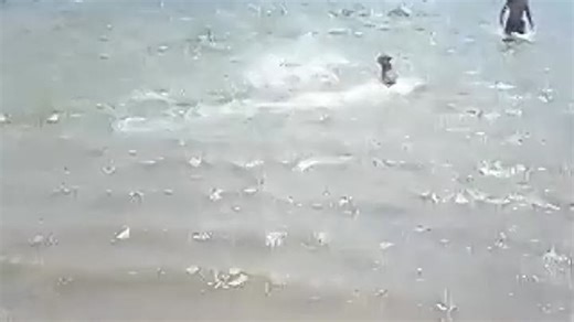 реджбек и димон-2