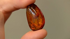 513K views · 8.7K reactions | Scientists stored digital data inside DNA — here's how. | Insider Tech | Facebook