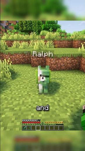 This mod FIXES your pet problem #minecraftjava