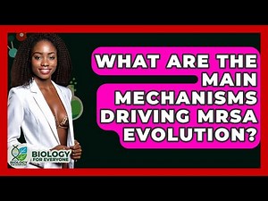 What Are The Main Mechanisms Driving MRSA Evolution? - Biology For Everyone
