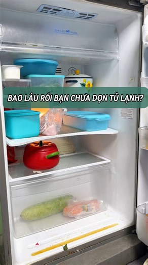 Tủ lạnh nhà bạn có đang như thế này? #homedecor #Tree #TreeHouse #decor | Tree House