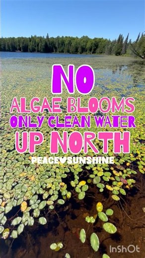 Algae-Free Up North 🤭 No Blooms Here