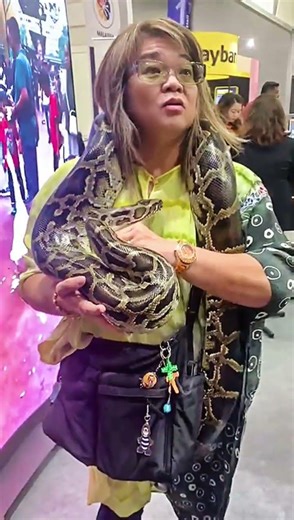 Burmese Python from 99 Wonderland Park 😍 #burmesepython #snake #reptiles