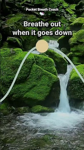 Breathing to Feel Calm and Balanced (40/60 Method)