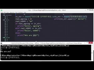 Python & Ruby - Input and Output 2: Utilization