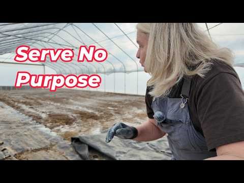 Moving Dirt and a Few Animals