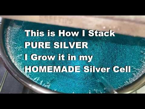 How to Grow Your Own PURE SILVER