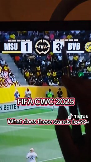 Understanding the Meaning of FIFA CWC Score Indicators