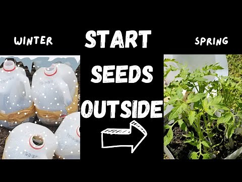 How to WINTER SOW: A Step-By-Step Guide ❄️