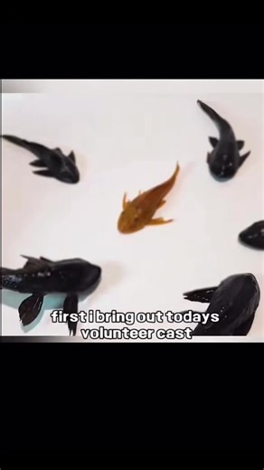 This is an not real animation #lab #fishes #scary #trauma #fyp