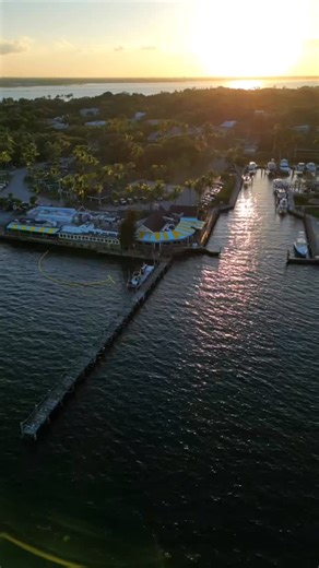 Dinner at Dolphin Bar is calling 🌊🐟🌴 https://www.opentable.com/r/dolphin-bar-and-shrimp-house-jensen-beach | Dolphin Bar