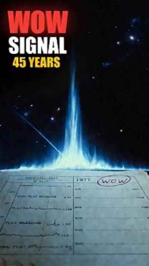 In 1977 We Heard Something From Space. It Never Repeated.