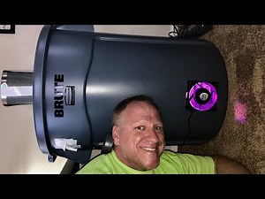 They Grew Inside My Secret Trash Can