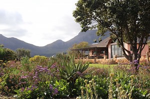 Noordhoek Open Gardens Blossoms Again for Its 11th Spectacular Year