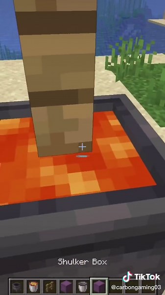 Explore 4 Minecraft 1.17 Glitches and Hacks!