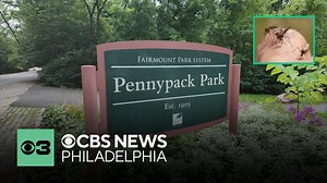 Health officials say West Nile virus has been detected in mosquitoes in Northeast Philadelphia