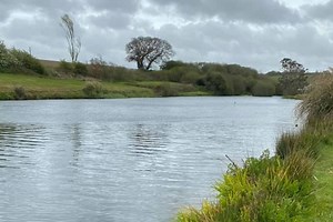 Treemeadow Trout Fishery, Hayle | Fishery Guide