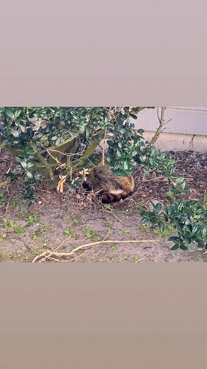 Terry Wilson on Reels | Facebook