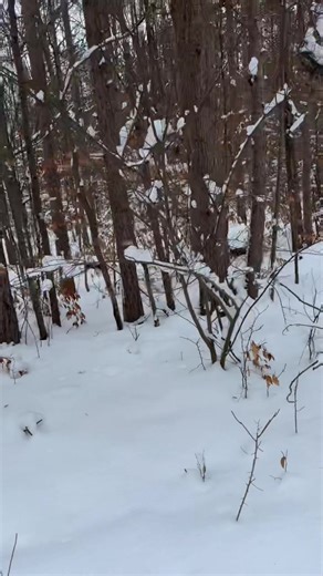 Running Techniques for Catching Up Fast