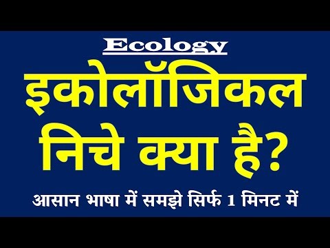 Ecological Niche (इकोलॉजिकल निचे) क्या है? | Habitat vs Niche Difference 🏠